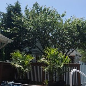 Meet your Posher, Tiffanie